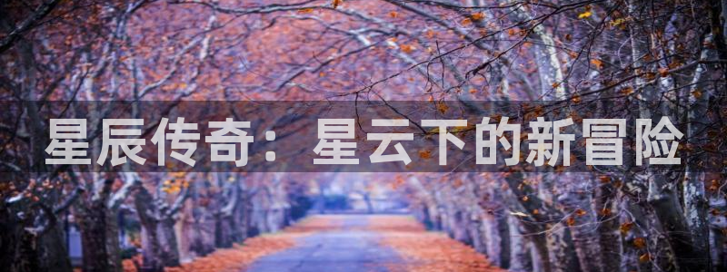 pp电子官网客服怎么样：星辰传奇：星云下的新冒险