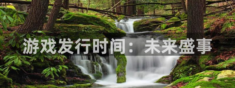 pp电子官网是境外的吗：游戏发行时间：未来盛事