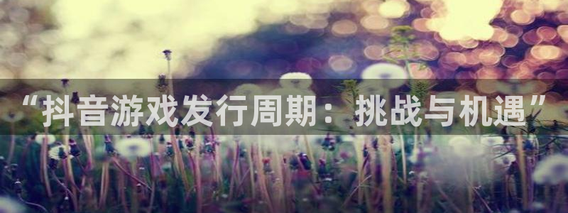 广东pp电子电子商务有限公司电话：“抖音游戏发行周期：挑战与机遇”