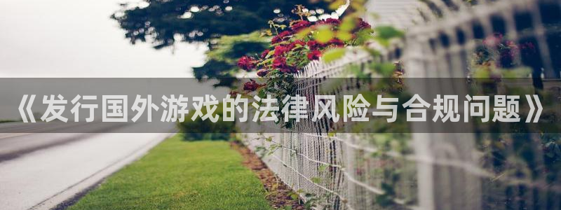 pp电子官网登录注册账号密码：《发行国外游戏的法律风险与合规问题》