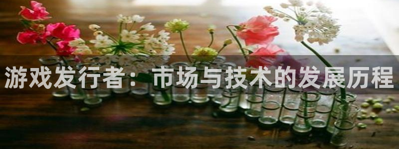 pp电子超纯啤酒怎么样：游戏发行者：市场与技术的发展历程