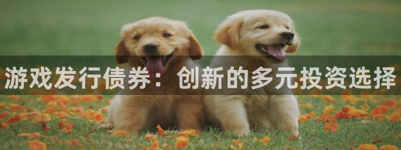 pp电子官网注册地址在哪里啊：游戏发行债券：创新的多元投资选择