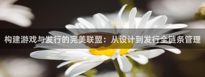 四川pp电子科技有限公司怎么样：构建游戏与发行的完美联盟：从设计到发行全链条管理