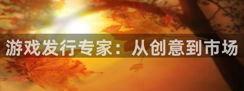 pp电子官网代理开号平台：游戏发行专家：从创意到市场