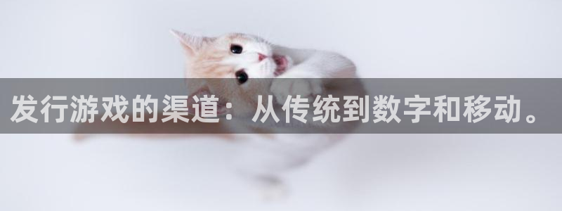 pp电子香烟图片：发行游戏的渠道：从传统到数字和移动。