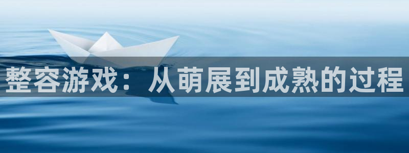 pp电子技术有限公司官网