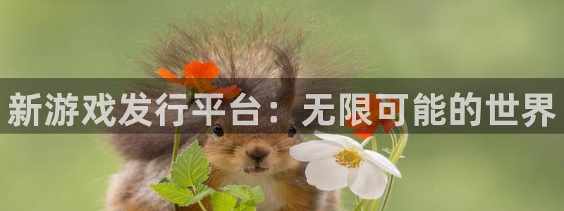 pp电子子年度最佳图书