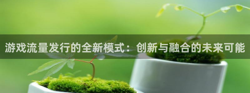 pp电子子酒业：游戏流量发行的全新模式：创新与融合的未来可能