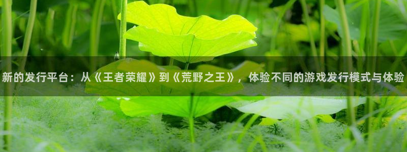 pp电子多少钱：新的发行平台：从《王者荣耀》到《荒野之王》，体验不同的游戏发行模式与体验
