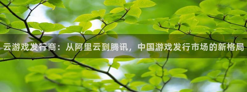 pp电子子文化创意有限公司：云游戏发行商：从阿里云到腾讯，中国游戏发行市场的新格局